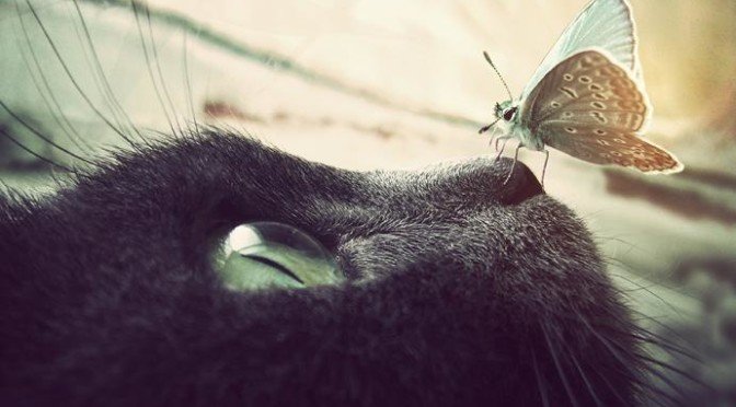 Vous voulez un nouveau monde ? Parlez un nouveau langage