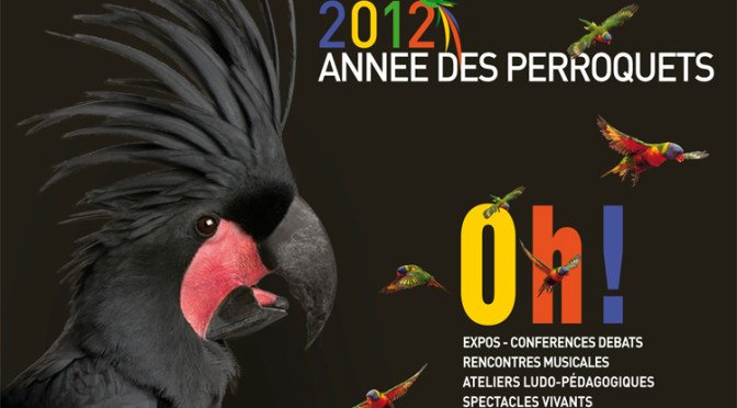 2012, année des Perroquets
