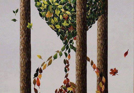 Le bel automne est revenu