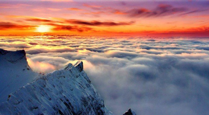 Moutons de poussière