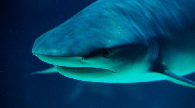 Bilan du monde financier :