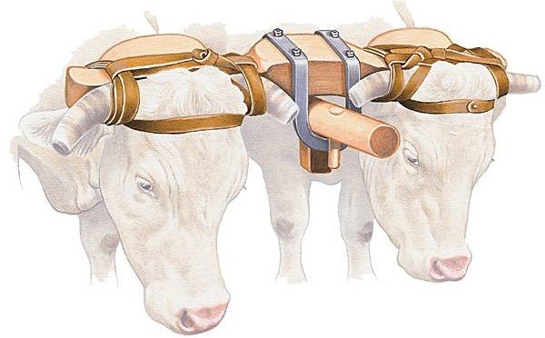 « L&rsquo;équité gémit sous le joug de l&rsquo;oppression… » Baha&rsquo;u&rsquo;llah