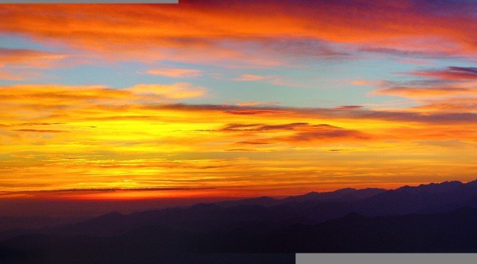 Peur de la disparition = Disparition de la peur ?