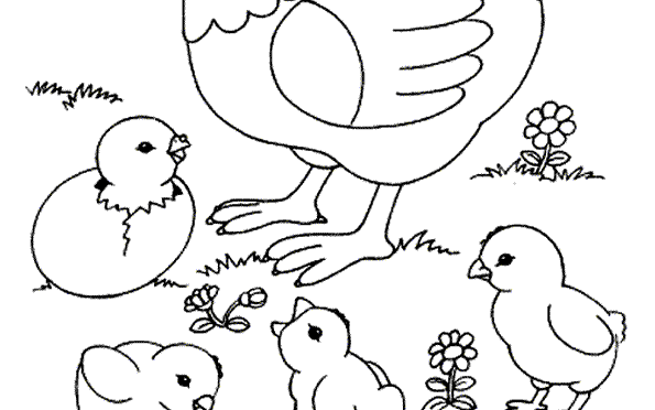 Testez votre esprit d’ouverture…au possible