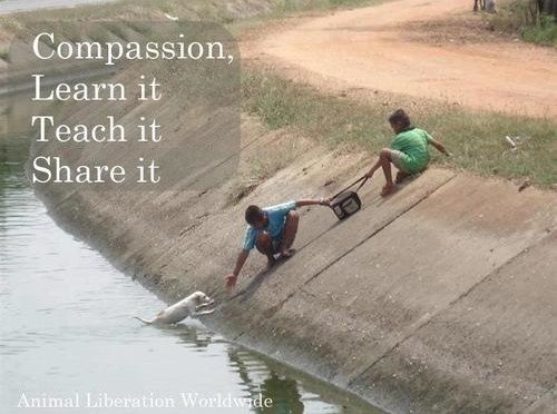 Allo la Terre, comment ça va ?