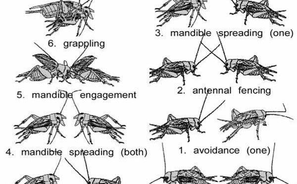 Nos 9 orifices, hauts lieux d&rsquo;agression…et de protection